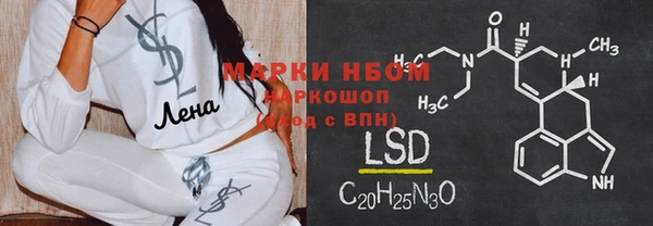амф Верхний Тагил