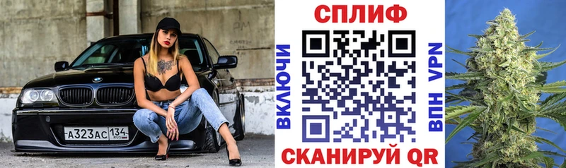 дарнет шоп  Медвежьегорск  MEGA сайт  МАРИХУАНА Amnesia 